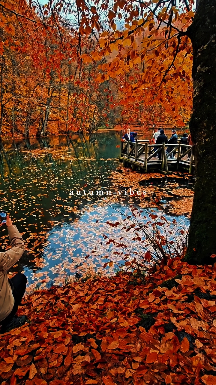 autumnvibes