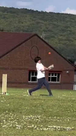 Cricket.  