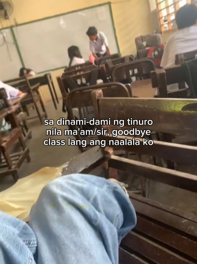 hays true