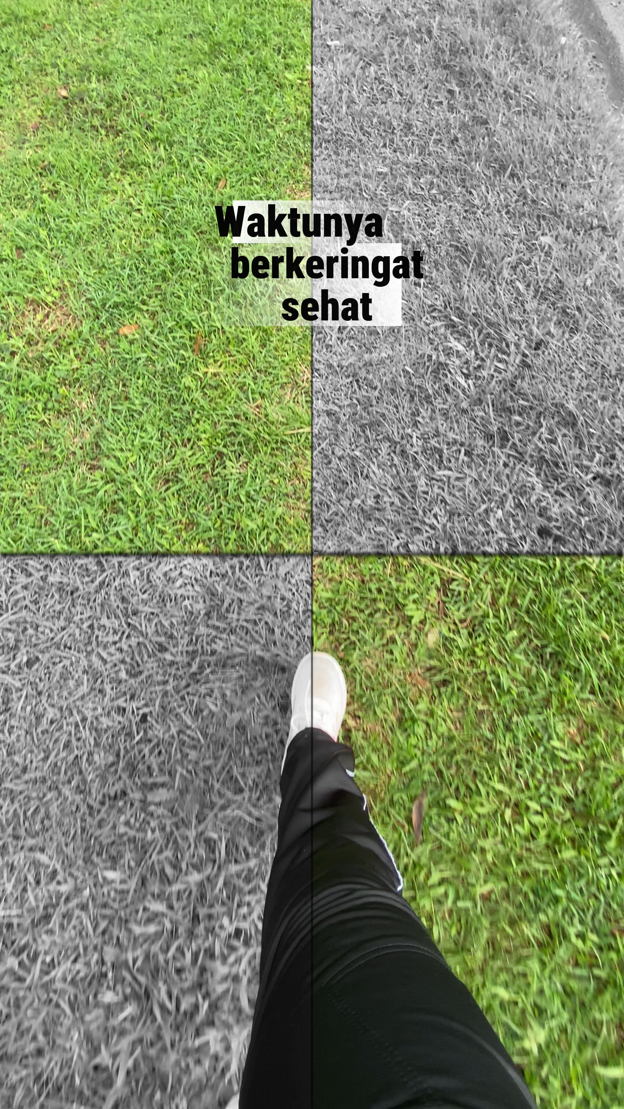 Olahraga aesthetic