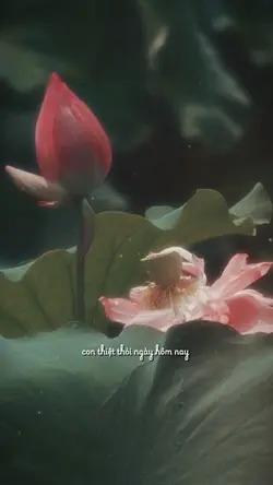 Đức Phật dạy