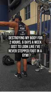 Vida de gimnasio
