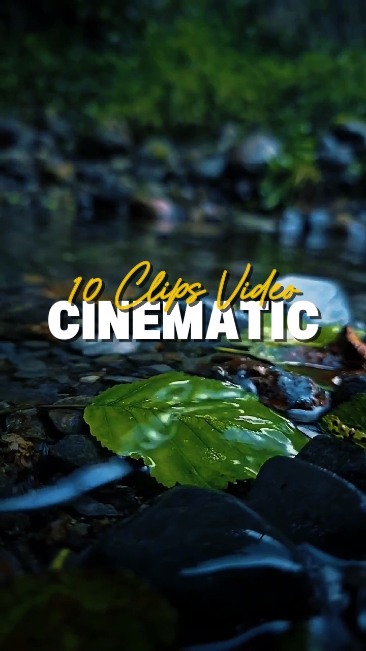 10 Clips Vidéo 