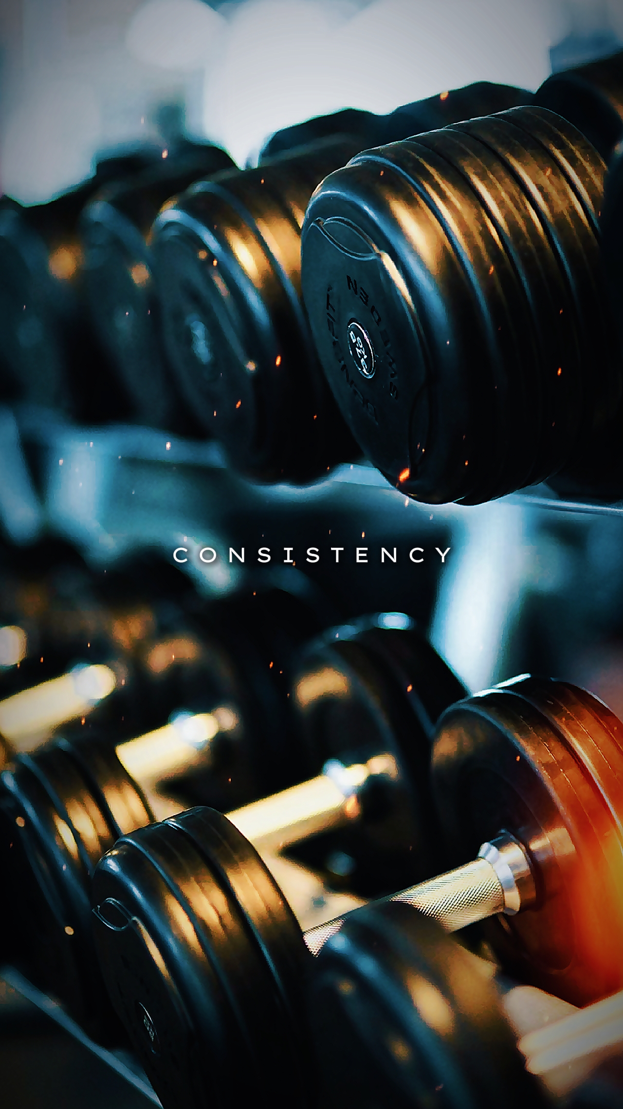 CONSISTENCIA 