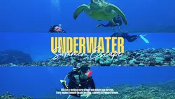 Summer Underwater