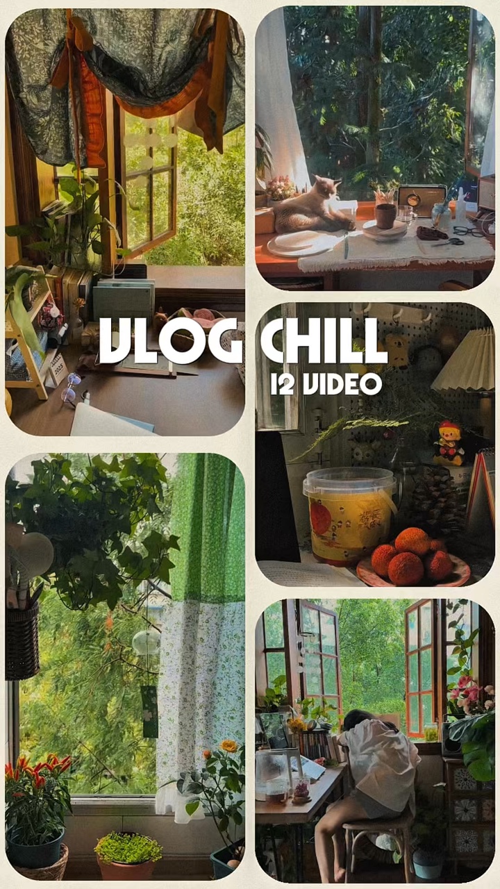 Vlog chill 12 video
