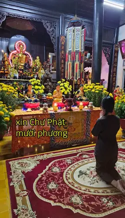 XIN PHẬT CHỨNG TRI