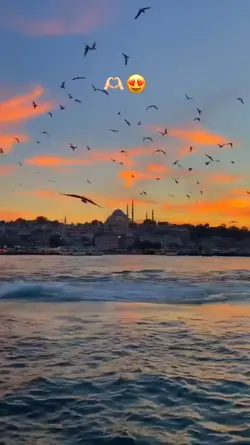 yeni akım
