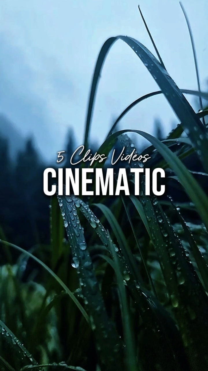5 Videos Cinematic 