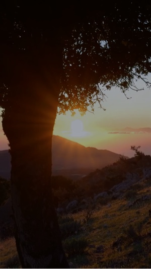 Magia acontece …