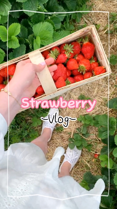 Strawberry Vlog