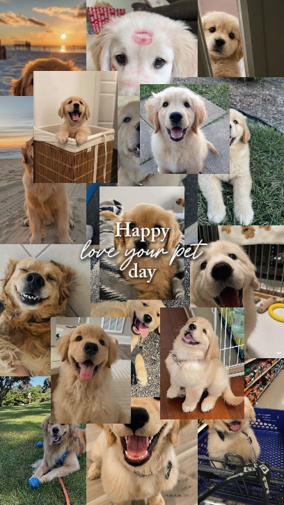 love your pet day