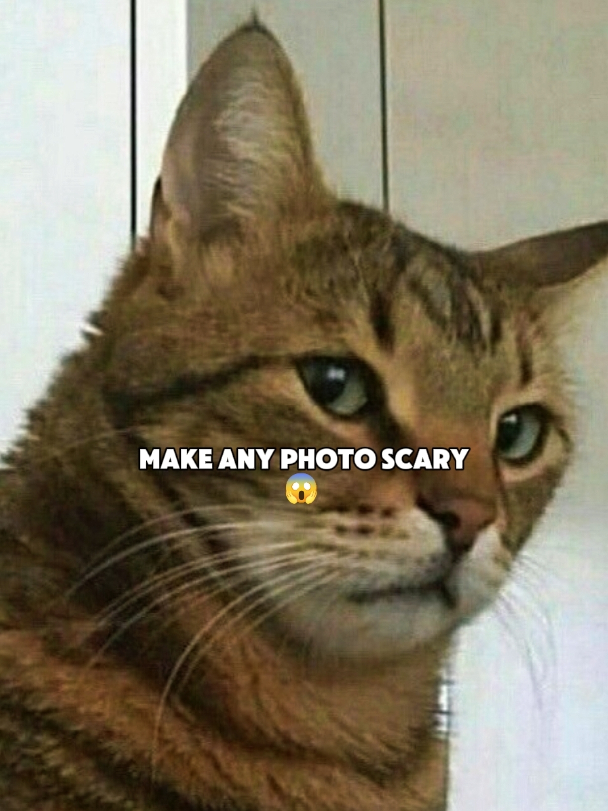 This scary filter 