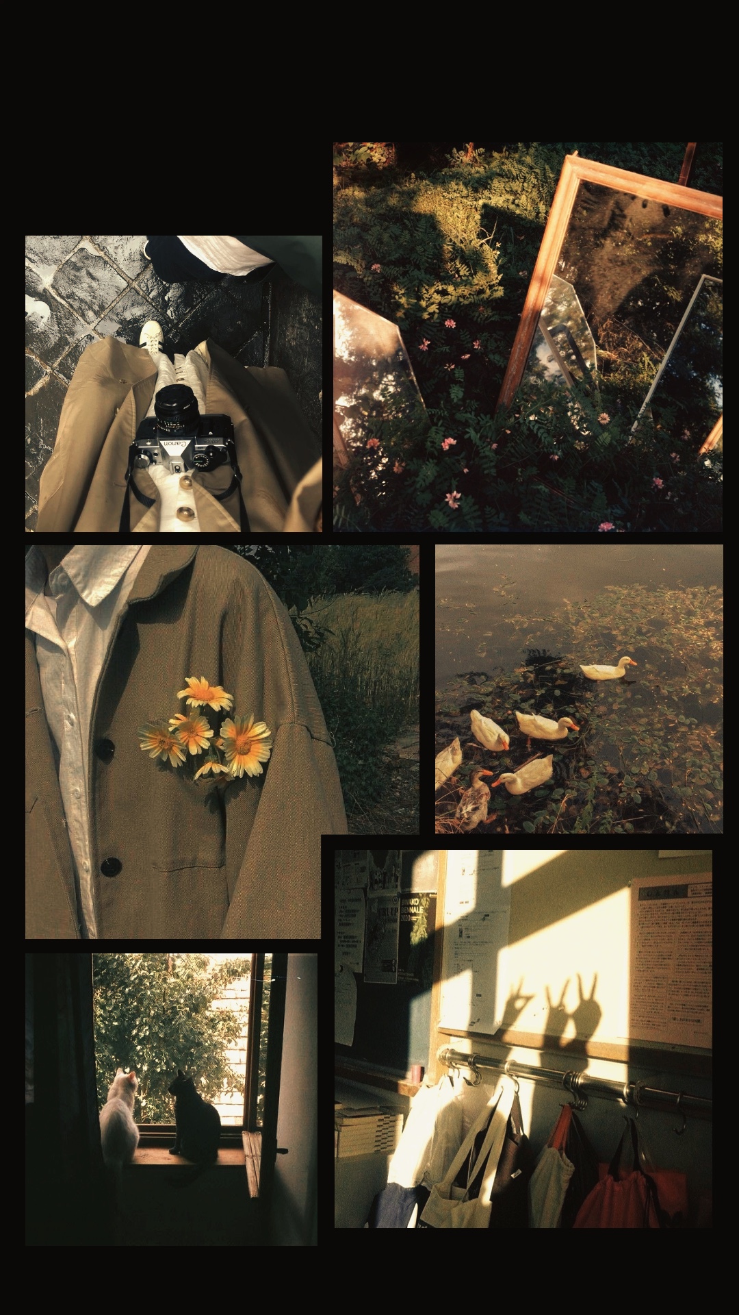 6 collage 