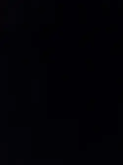 Yeni Şablon