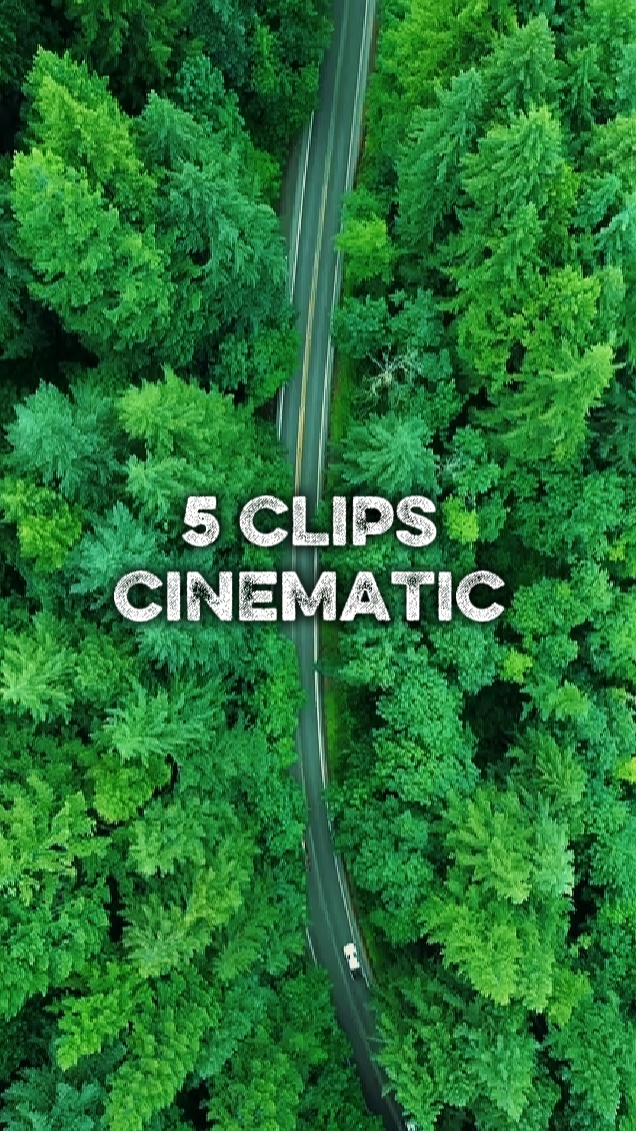5 CLIPS NATURE 