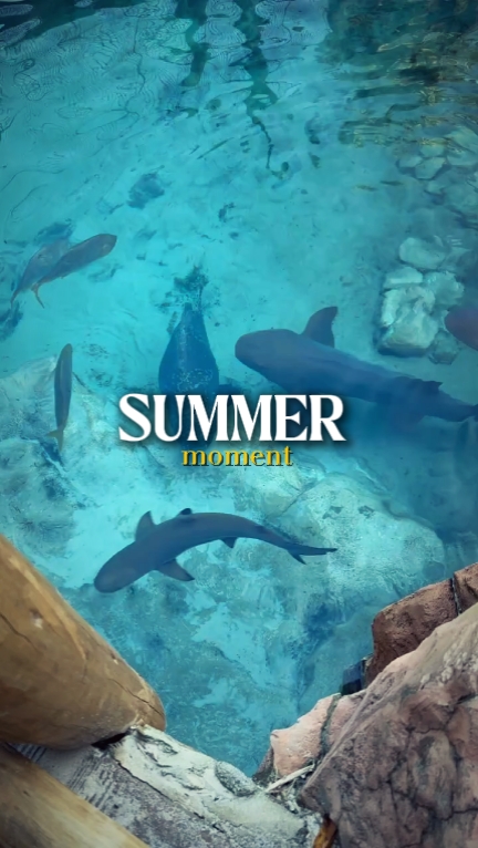 SOMMER ""