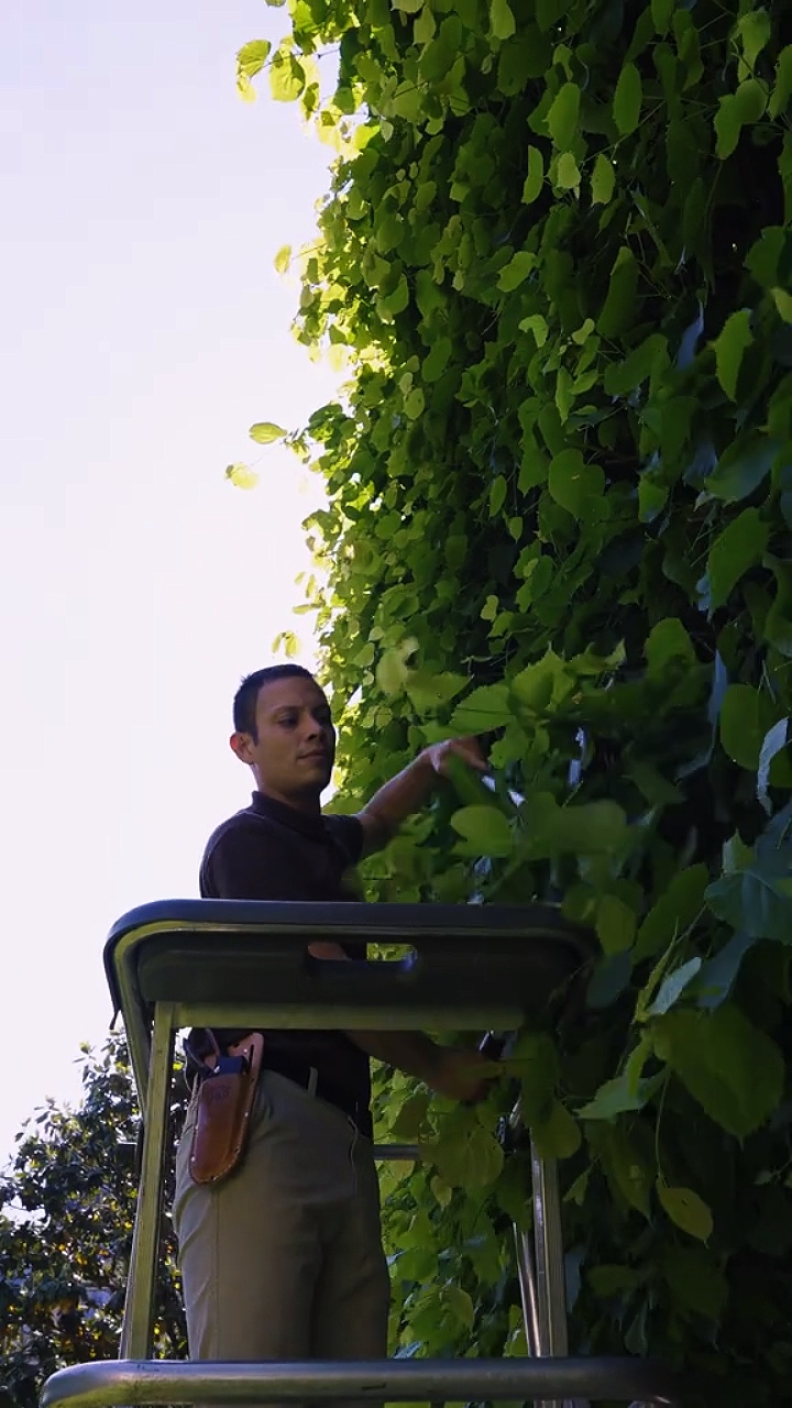 Berkebun