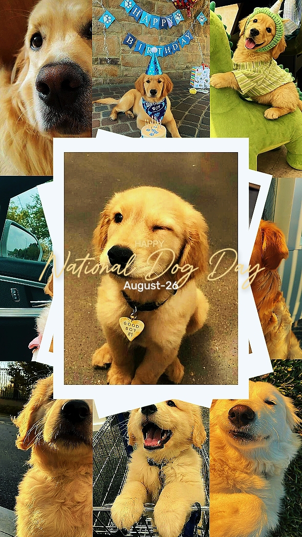 FELIZ DÍA DEL PERRO