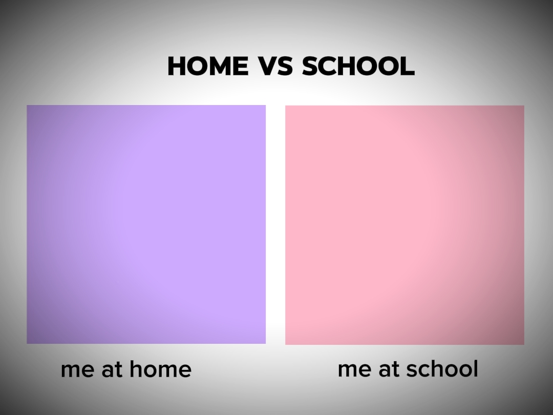 home vs school