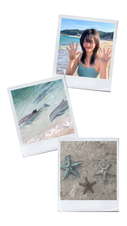 3 pics 