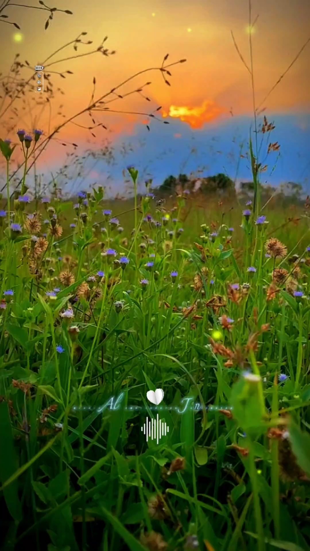 Thiên Nhiên sakin ol