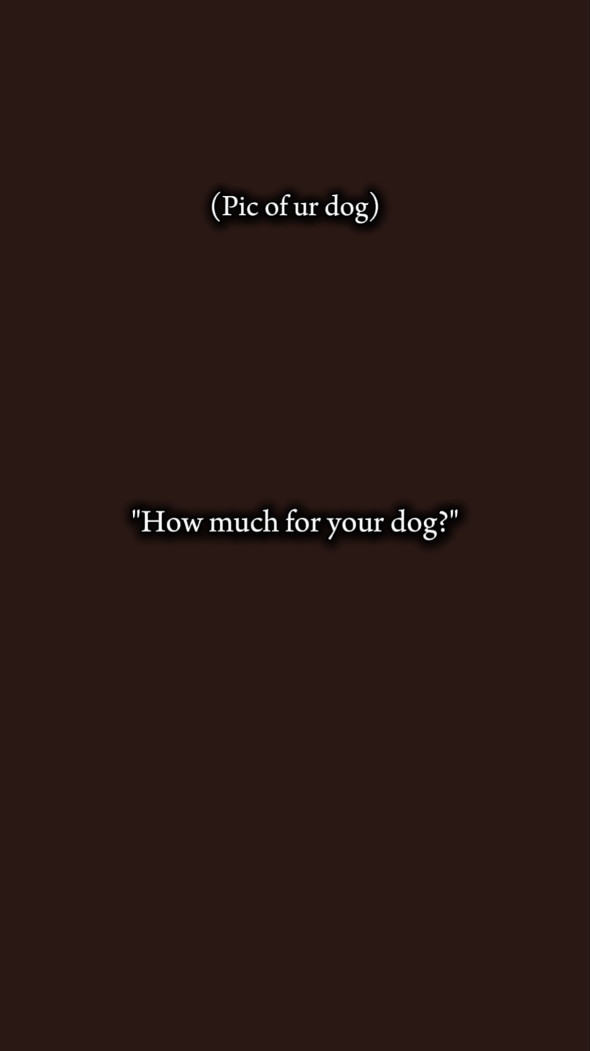 dog