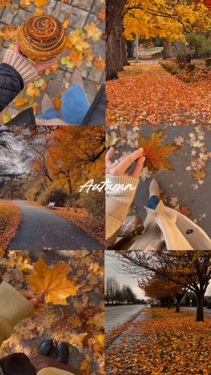 autumn vlog