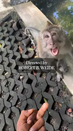 DIRECTED BY