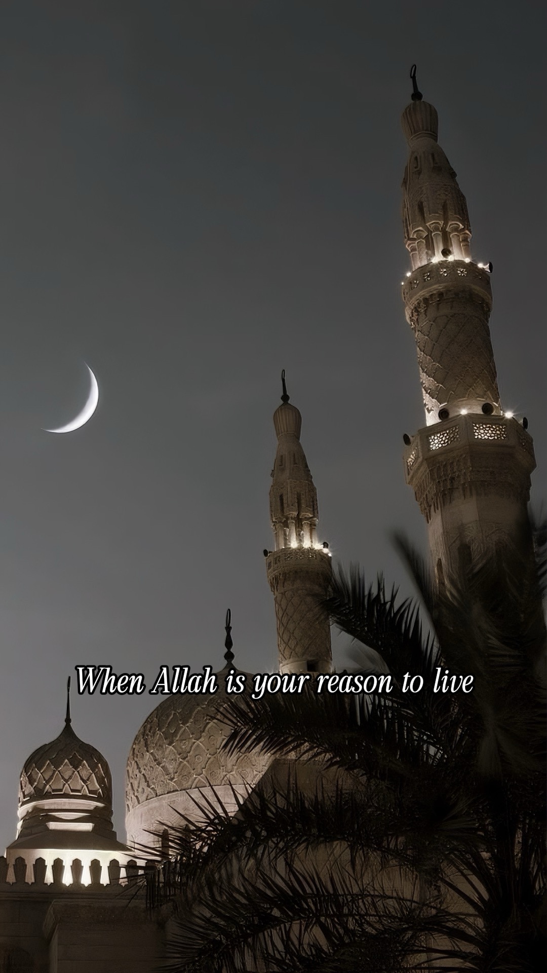 Reason to live <3
