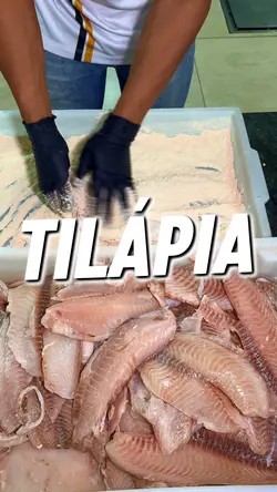 Peixe | Comida