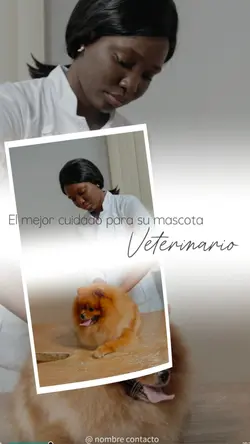 MASCOTA PERRO PET