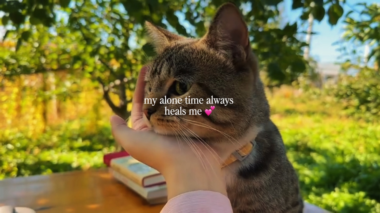 Meu tempo sozinho sempre