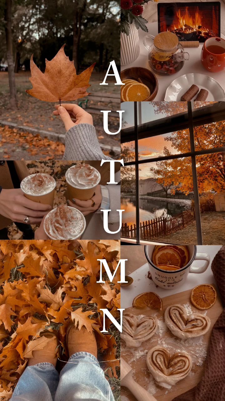 autumn wallpaper