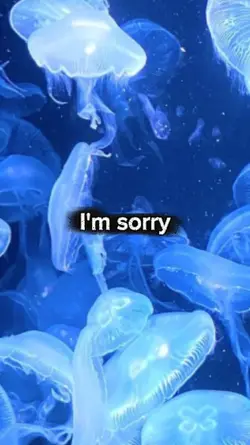 I'm sorry