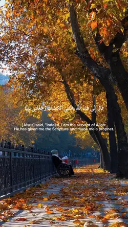 QURAN VERSE