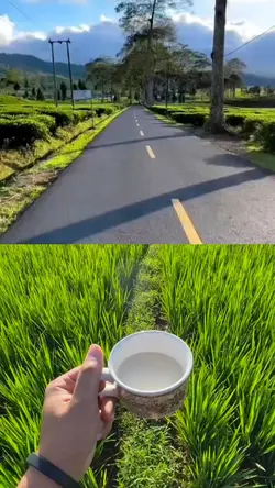 2 video jadi 1 ori