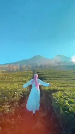 Slowmotion 
