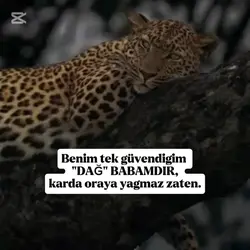 babalar günü