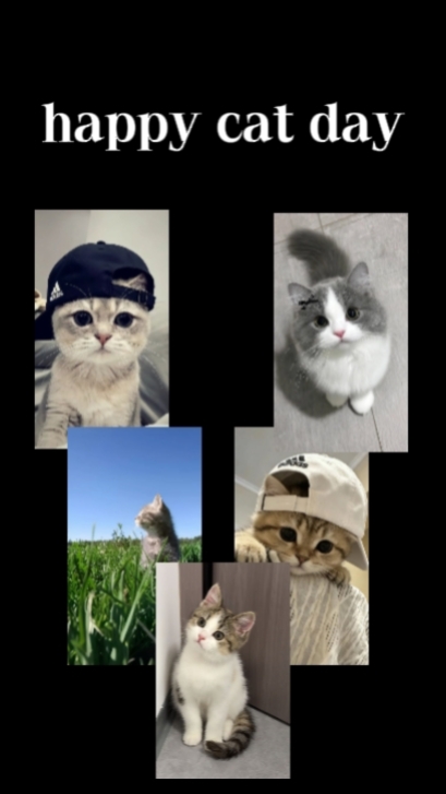 my cute cat 14 clip 