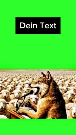 Vor den Wahlen