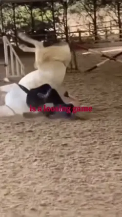 a loosing game
