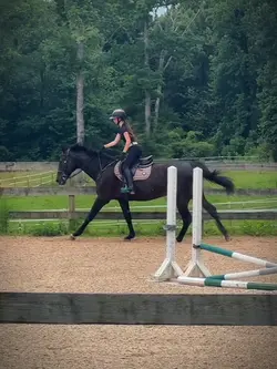 i wanna gallop him