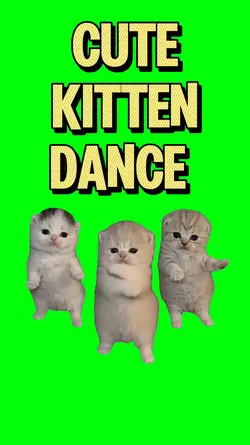 CUTE KITTEN DANCE 