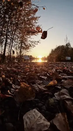 Fyp slowmotion