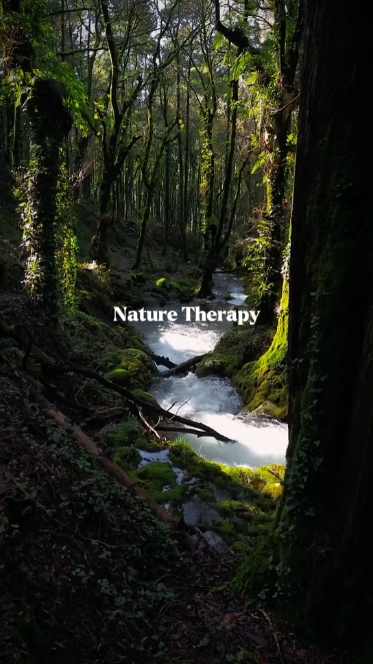 Terapia De Naturaleza