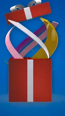 gift package 