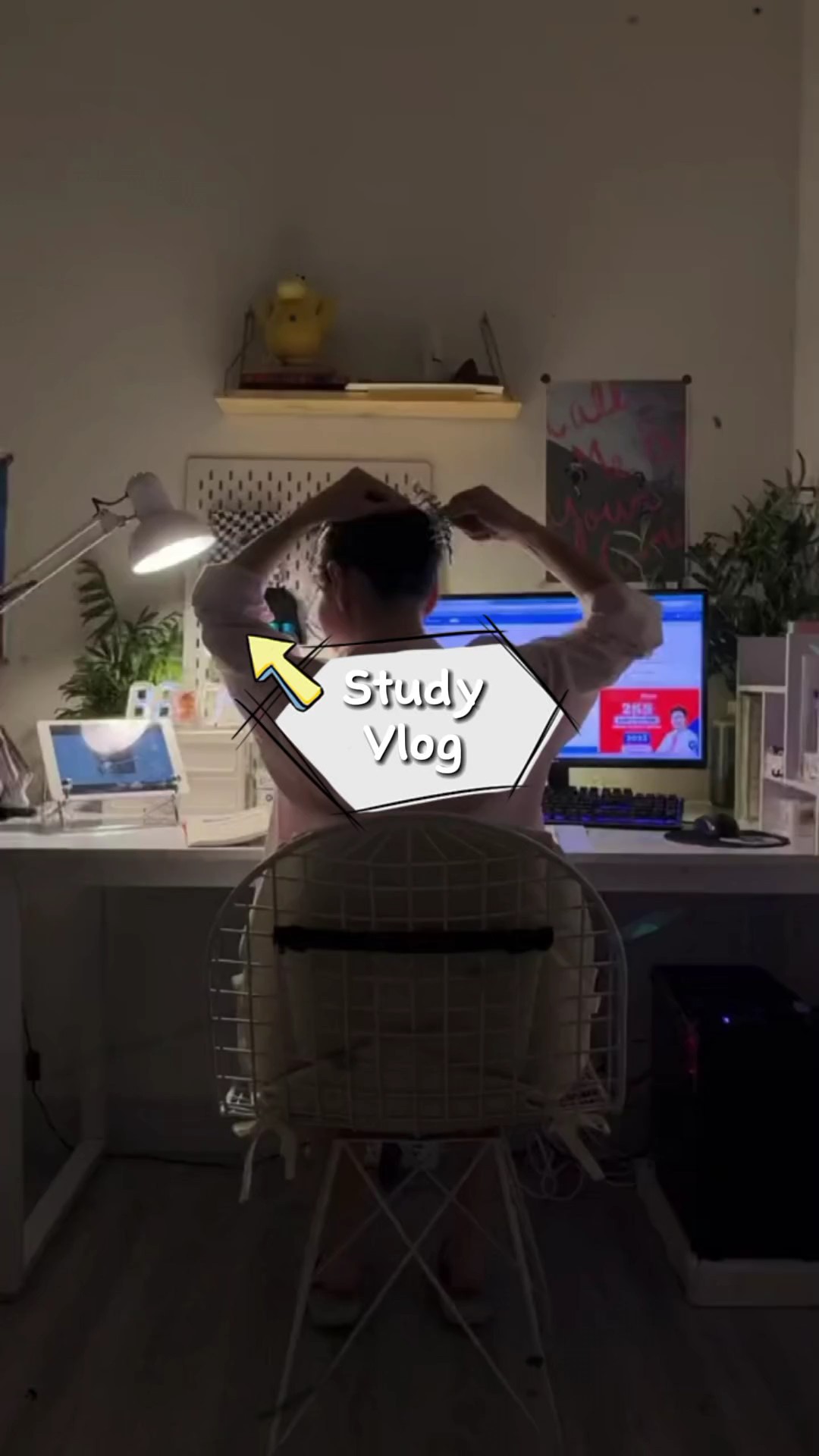 Study Vlog