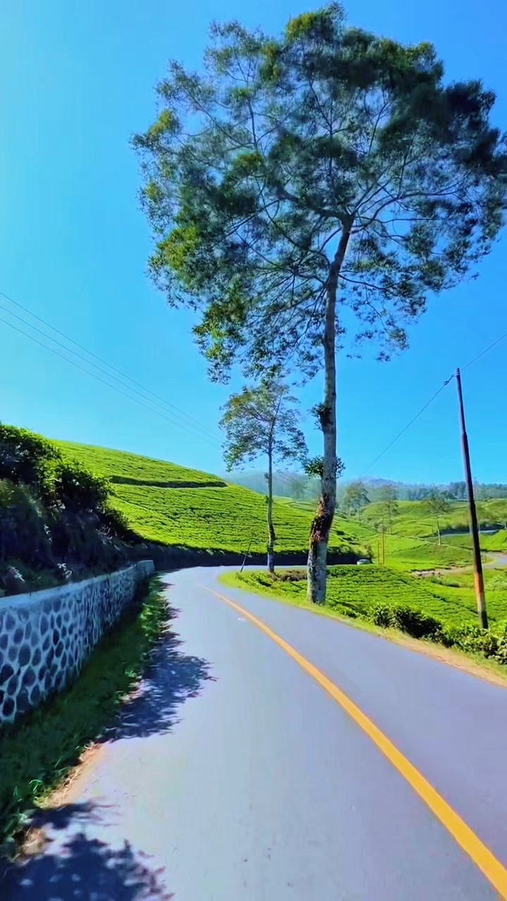road trip 6 video