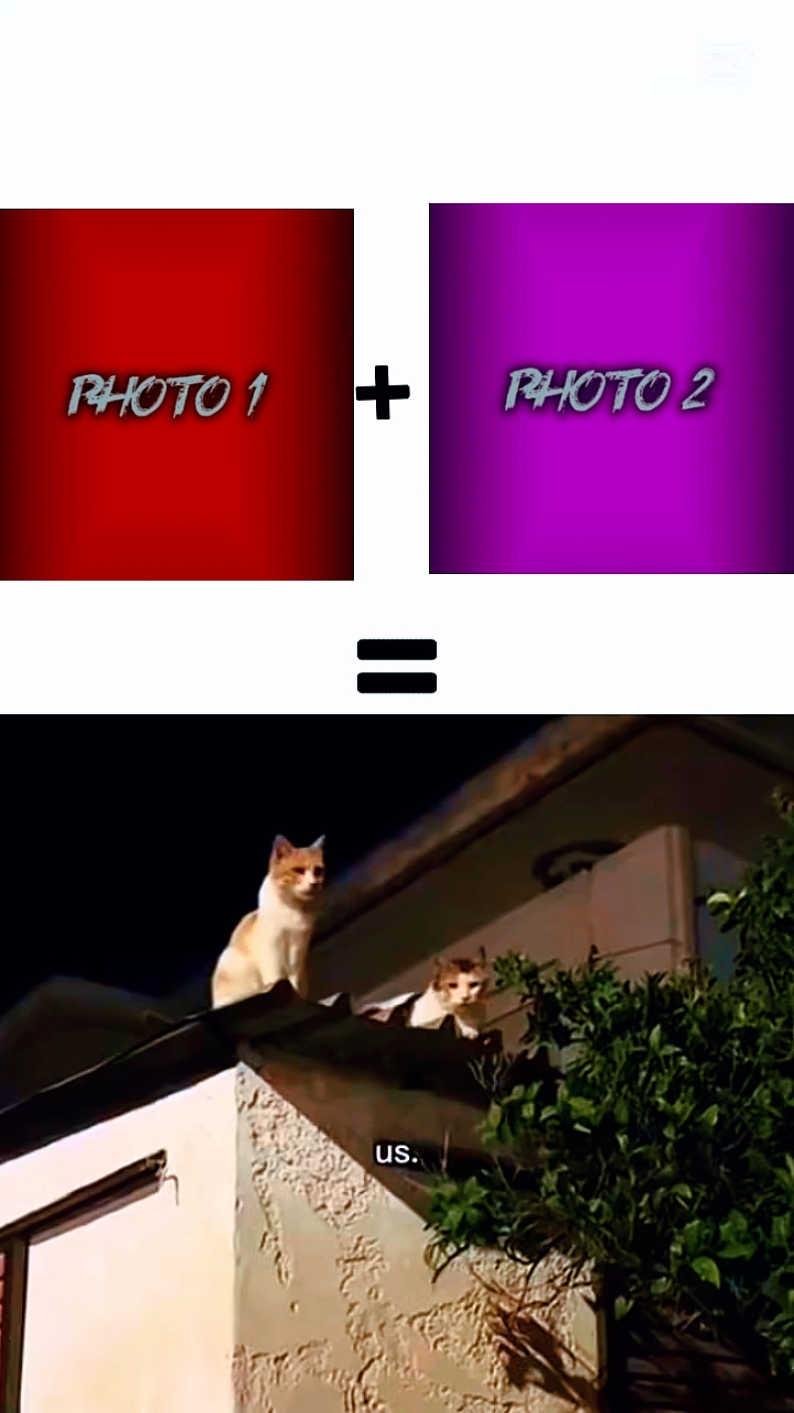 new edit master
